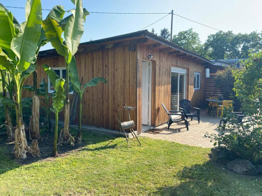 Gite Vogelau Schiltigheim Ngoại thất bức ảnh